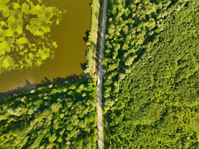 Same Root, Different Worlds: How Jack and Jackson Became America's Most Unlikely Name Rivals